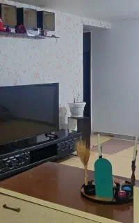 ساعتی روزانه باتمام امکانات