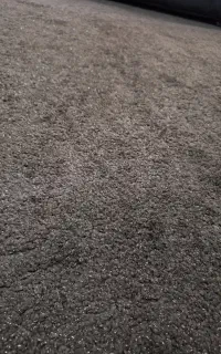 موکت پالاز ۱۲متری