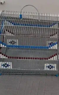 فروش قفس پرنده