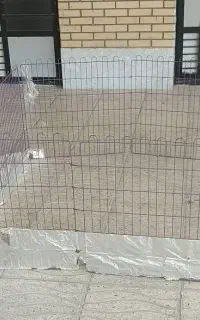 پارک سگ