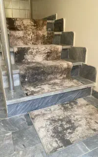 فرش پله