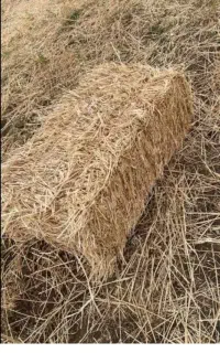 پرس