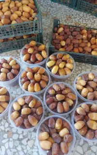رطب تازه