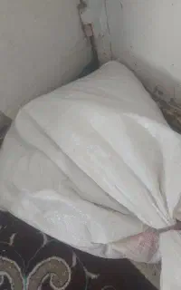 گندم