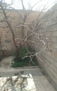 ساخت استخر اب وکشاورزی  بیل کاری  اره برقی سم زدن