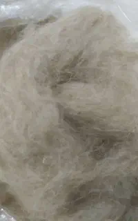 پشم تمیز شسته شده فروش