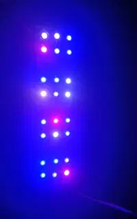 نور اکواریوم آب شور