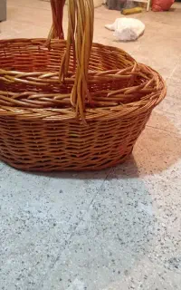 سبد