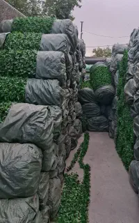 پخش وفروش انواع فنس برگی و چمنی به قیمت عمده