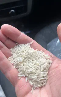 برنج فجر۹۰ روزه