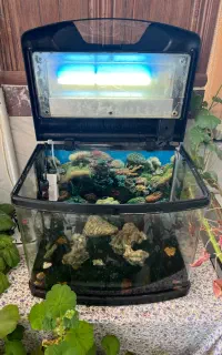 اکواریوم شرکتی شیشه خم