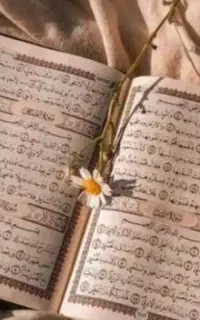 کتاب، دعا قوی و رایگان سید فقط تماس