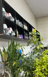 نیازمند همکار باریستا