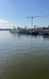 منشی خانم جهت همکاری درمشاوراملاک