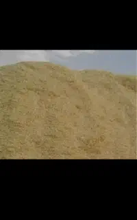 کاه پیرانشهر کمپاین درجه یک