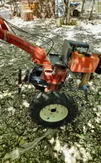 پاکنی درخت باغ و باغچه هماشهر