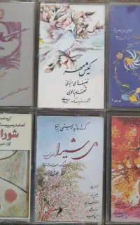 ۳۱۵ حلقه نوار کاست در موضوعات مختلف