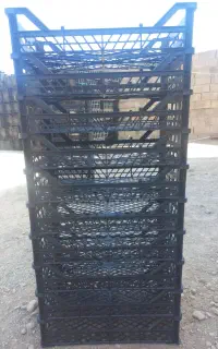 سبد انار