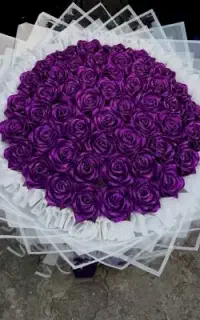گل و پول آرایی