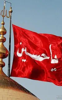 تور کربلا هوایی زمینی همه روزه یکسر هوایی تورمشهد