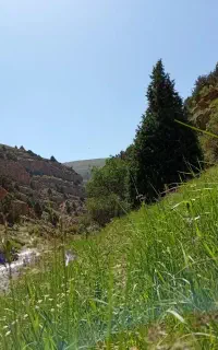 تور طبیعت گردی