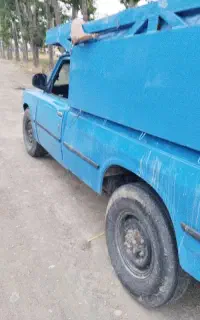 خرید درخت ،چوب