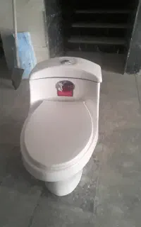 توالد فرنگی در حد نو