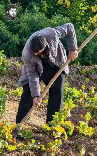 کارگر باغ خاک کردن هستم