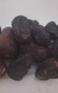 نیرو برای بسته بندی خرما