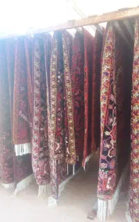 قالیشویی مبل شویی سرلک (ده نصیر)