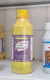 ضد زردی کشت سبز