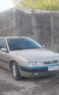 زانتیا ۸۴