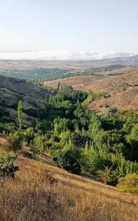 به تعدادی کارگر ساده در پارساباد نیازمندیم