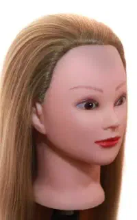 کله مانکن برای شنیون