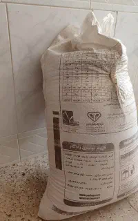 گندم دیم اذردو