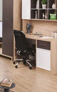 کتابخانه باتیس