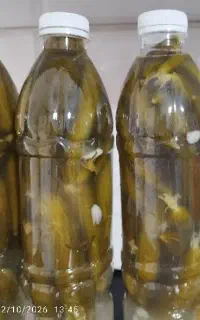 خیارشور