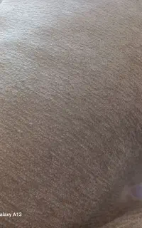پارچه