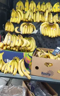 پلە نردبانی مناسب کاسبی. اندازە کف اریسان