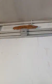 مهتابی سالم