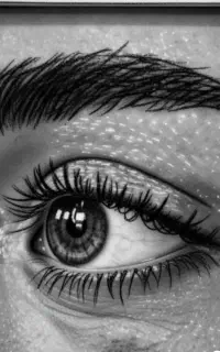فروش دو تابلوی طراحی سیاه قلم مناسب هدیه