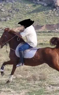 مادیان ترک درشور  سرو دم گیر پر خون سواریدار