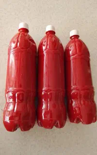 رب خانگی