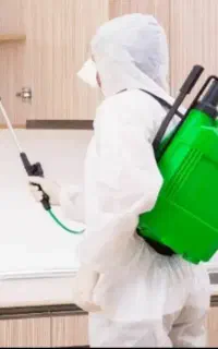 سمپاشی منازل واداره جات سمپاشی سوسک وساس وموریانه