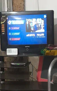 تلویزیون