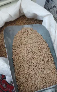 عدس درشت پلویی پولکی نخود برنج شکر لوبیا روغن ذرت