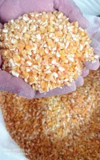 خوراک دام و طیور