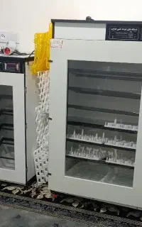 دستگاه جوجه کشی