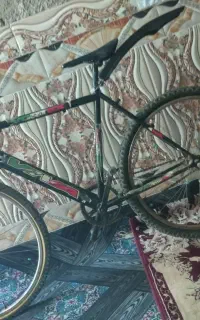 مجسمه دوچرخه ۲۶