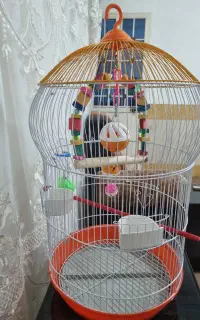 قفس پرنده
